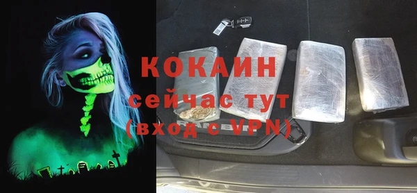 молекула духа Алексеевка
