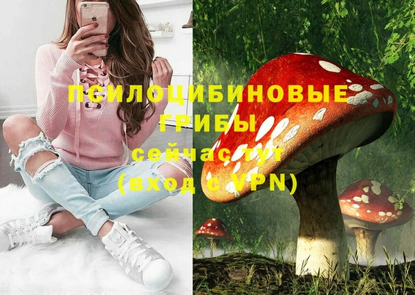 молекула духа Алексеевка