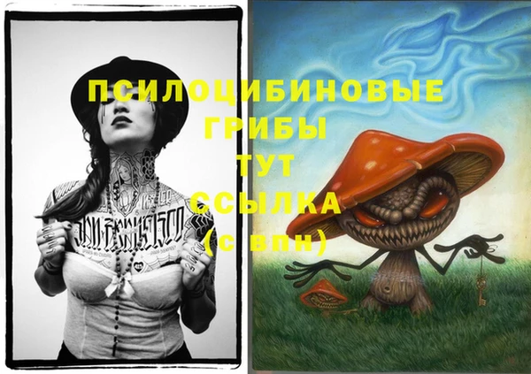 бошки Алексин
