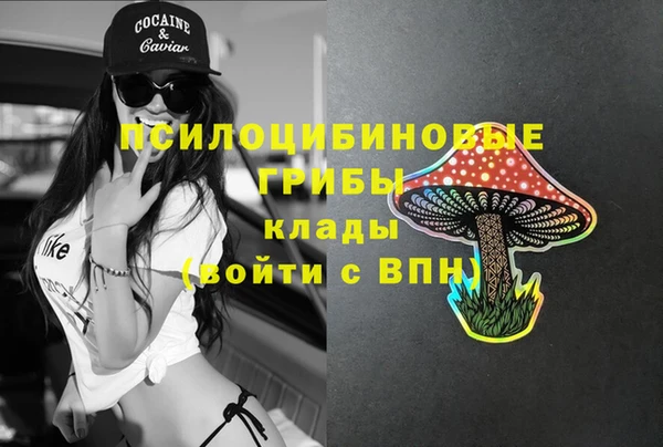 бошки Алексин
