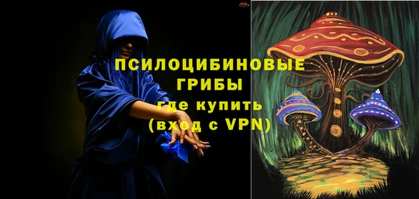 бошки Алексин