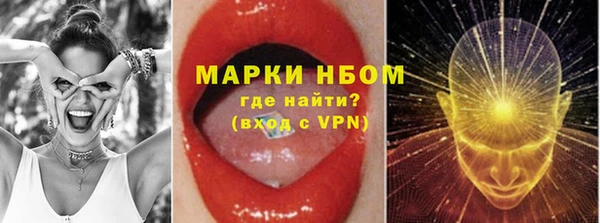 бошки Алексин