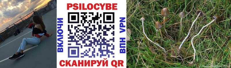 Псилоцибиновые грибы Psilocybine cubensis  Всеволожск 