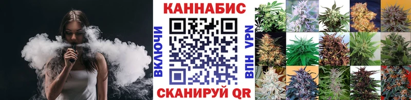 купить наркотик  Всеволожск  Канабис сатива 